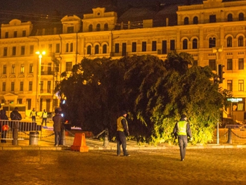 Главная ель страны уже в центре Киева. Фото фото