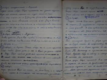 Расшифрован дневник херсонской школьницы 1919 года фото