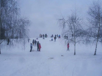 Запорожцы с тазиками оккупировали каскад фонтанов «Радуга» (ФОТО, ВИДЕО) фото