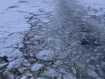 Рыбаки массово подвергают свои жизни опасности, выходя на тонкий лед  фото