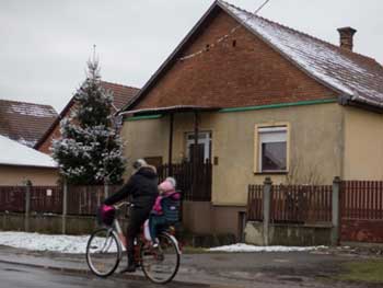 В Венгрии полиция устроила облаву на украинцев с двойным гражданством – СМИ фото