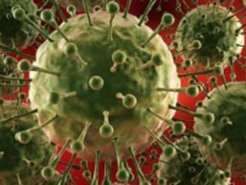 Новый мутировавший вирус гриппа заберет за два года жизни 300 миллионов человек фото