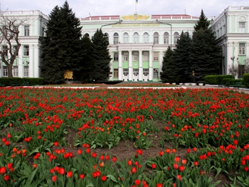 Цветем и пахнем: на улицах города распустились тысячи тюльпанов  фото