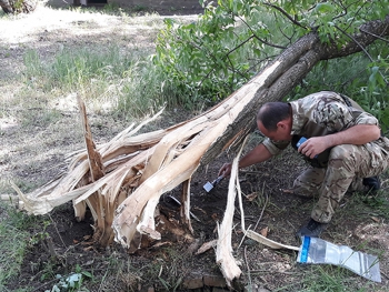 Полицейские нашли школьников, устроивших взрыв в парке  фото