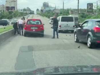 В центре Запорожья утята парализовали движение на дамбе (Видео) фото