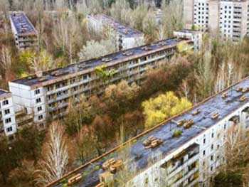 В Чернобыле спасатели объявили высокий уровень пожарной опасности фото