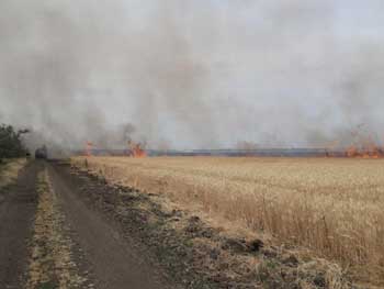 В Приазовском районе от огня спасали хлеба фото