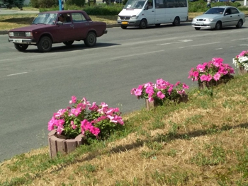 На улицах Мелитополя жара выжгла газоны и добивает клумбы фото