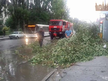 В Запорожье дерево упало на остановку фото