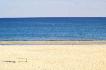 Бирючий остров – заповедник в водах Азовского моря фото