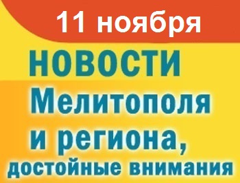 Мелитопольцы самостоятельно спасают котят и проверяют себя в списках фото