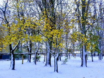 С первым снегом, Мелитополь! фото