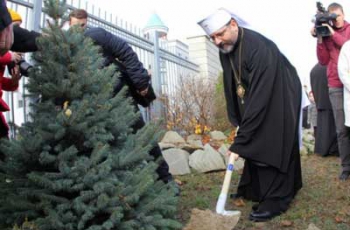 Глава УКГЦ закликає не ставити вдома живі ялинки на Новий рік та Різдво фото