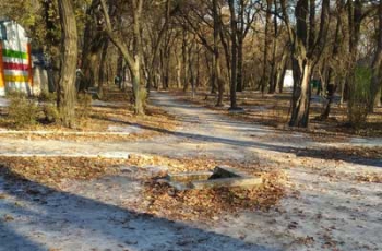 Костей не соберешь - мелитопольский парк опасен для прогулок?  фото