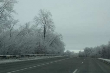 Из Мелитополя в Запорожье ведет сказочная дорога  фото