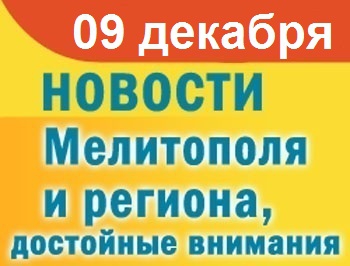 Мелитопольцы обсуждают качество продаваемых сосен и осуждают насилие фото