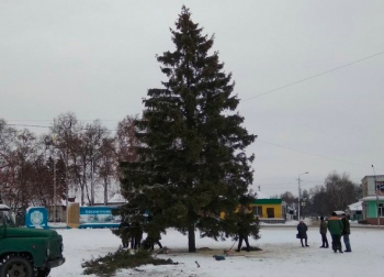 В Черниговской области разразился скандал из-за новогодней елки фото