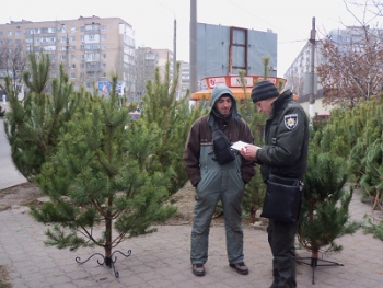 «Меня заказали» - уверял мелитопольский торговец новогодними елками  фото