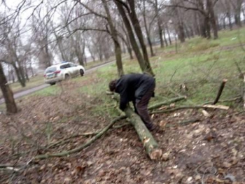 В мелитопольском селе поймали «черного лесоруба»  фото