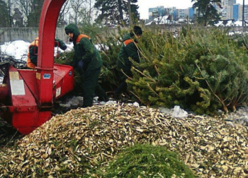 В Мелитополе дать елке вторую жизнь теперь непросто фото