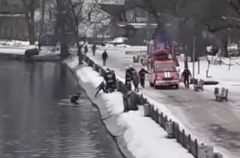 В Днепре отчаянный мужчина героически спас собаку из ледяной воды  фото