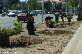 В Мелитополе делят зелень фото