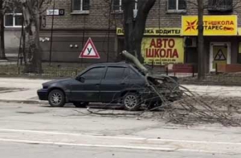 В Запорожье из-за ураганного ветра дерево упало на автомобиль фото