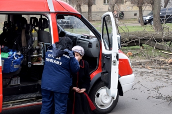 Ураган в Украине: на полную людей маршрутку упало дерево (ФОТО, ВИДЕО) фото