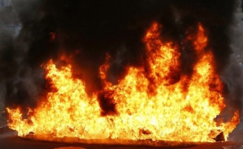 Масштабный пожар в экосистемах Запорожской области фото