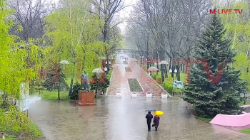 Мокрые улицы и залитые крыши: как Мелитополь выглядел в непогоду  фото