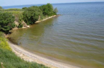 В Запорожской области в заповедной зоне нашли пьяного рыбинспектора фото