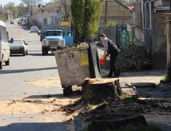 По заказу власти деревья пилят во благо, остальные «уничтожают зеленый фонд» фото