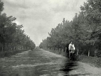 В сети опубликовали старинную фотографию мелитопольского парка фото