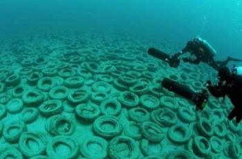 На запорожском курорте Азовское море находится на грани экологической катастрофы фото