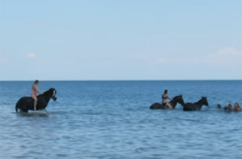 Это надо видеть - в Кирилловке девушки купали вороных лошадей  фото