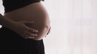 В Украине увеличились выплаты по беременности и родам фото