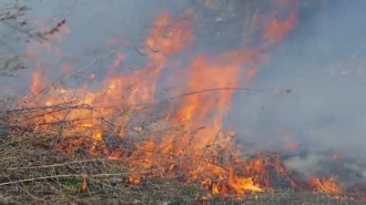 Воняет жутко: в Кирилловке большой пожар на лимане фото