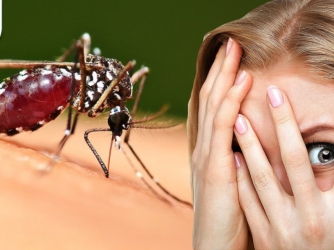 Медики предупредили, чем опасны средства для отпугивания комаров фото