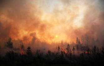 В Сибири продолжаются лесные пожары: власти РФ ввели режим ЧС и не планируют тушить пожар фото