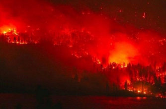 Дым от пожаров в Сибири достиг США и Канады  фото