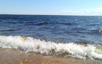 Популярные пляжи Севастополя закрыли: СМИ говорят о холере фото
