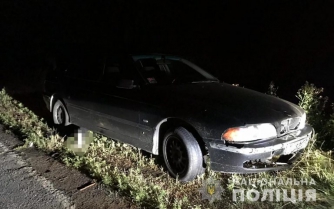 Ночью под Запорожьем автомобиль сбил насмерть пешехода, разыскиваются свидетели  фото