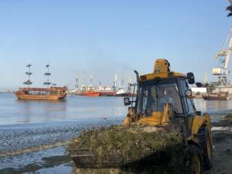 За первые дни августа с бердянских пляжей вывезено больше 100 тонн водорослей фото