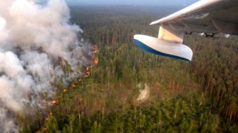 Greenpeace зафиксировала рост лесных пожаров в Сибири фото