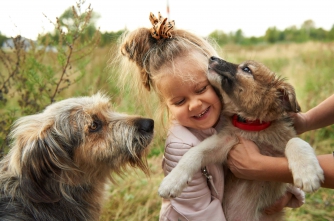 Простые правила: учим детей общаться с чужой собакой фото