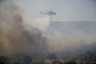 В Греции вспыхнули лесные пожары, туристов массово эвакуировали фото