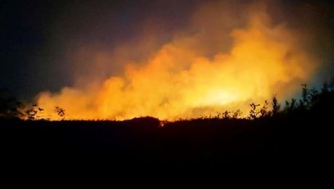 Масштабный пожар: под Полтавой вспыхнули торфяники  фото