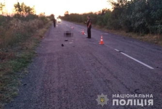 Полиция разыскивает свидетелей аварии в Каменско-Днепровском районе фото