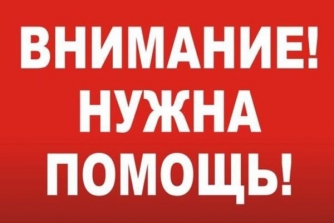 Жителей Запорожской области просят помочь девушке, пострадавшей в ДТП  фото