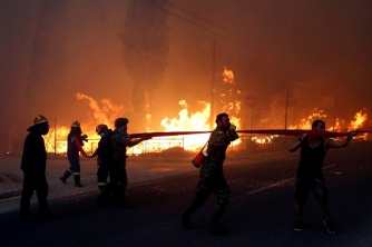 В Запорожской области 35 спасателей тушили пожары в экосистемах фото